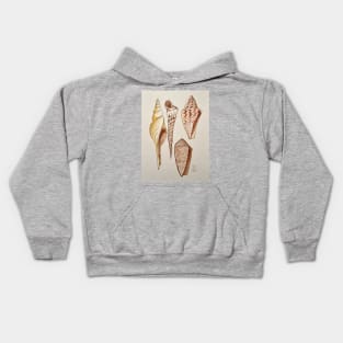 Seashell Study Kids Hoodie